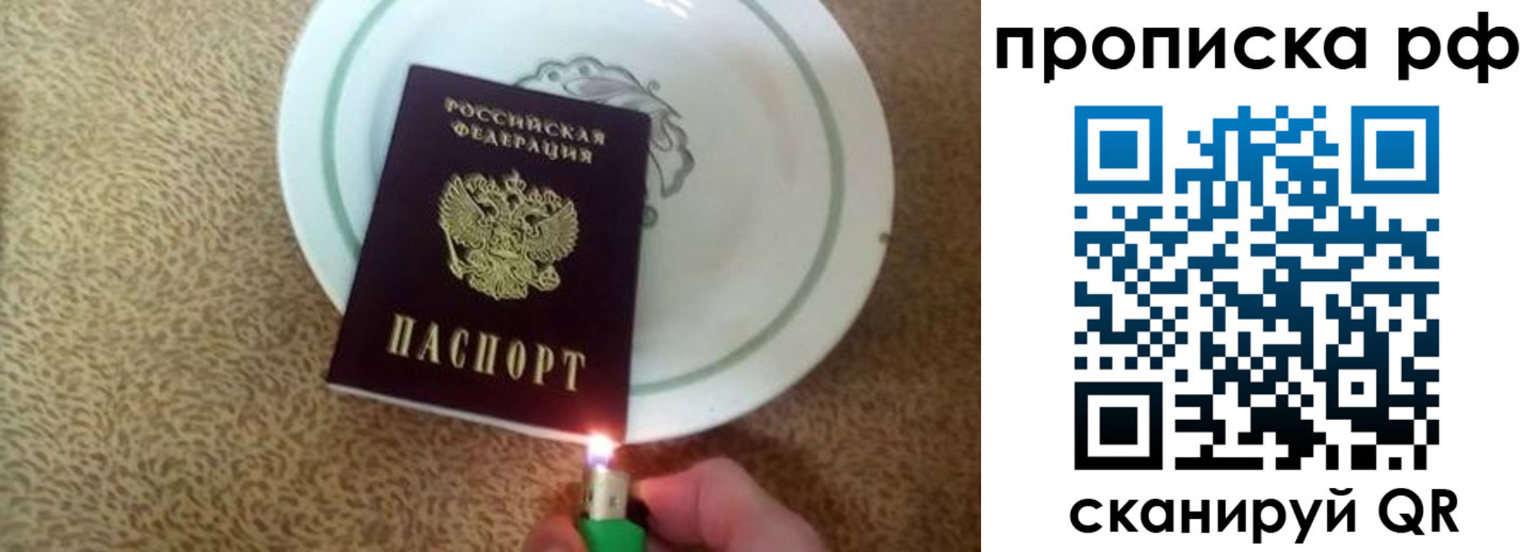 прописка в квартире в Шилке
